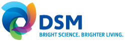 Logo Dsm